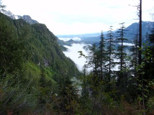 View from Spirit Lake trail