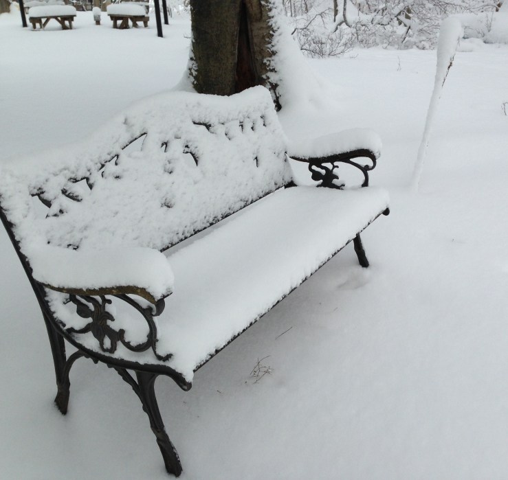 Snow-covered bench