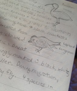 Definitions and drawings