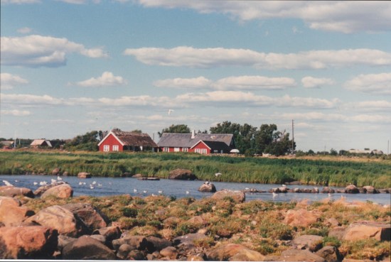 The tiny farm near Falkenberg, Sweden where the Johansson family lived at the turn of the century. Here my grandmother, Hulda, helped her mother and father with baking, cleaning fishing gear, etc.