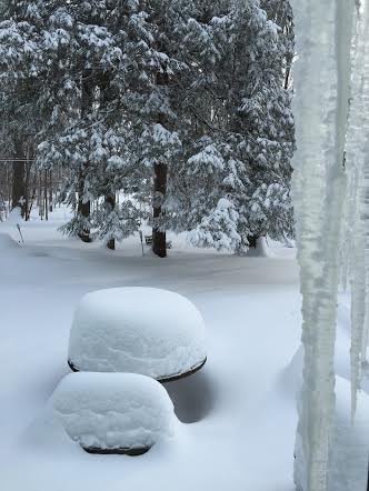 Deep snow in backyard
