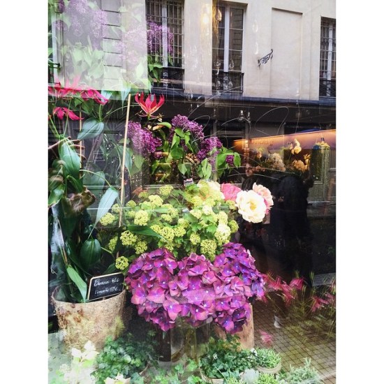 Floral shop window