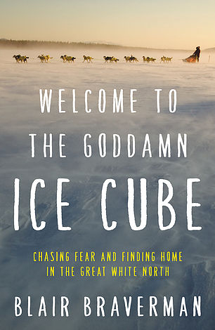 WelcomeToTheIceCube