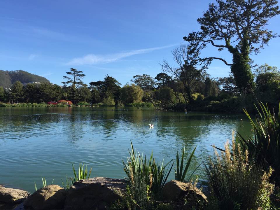 GoldenGatePark.jpg