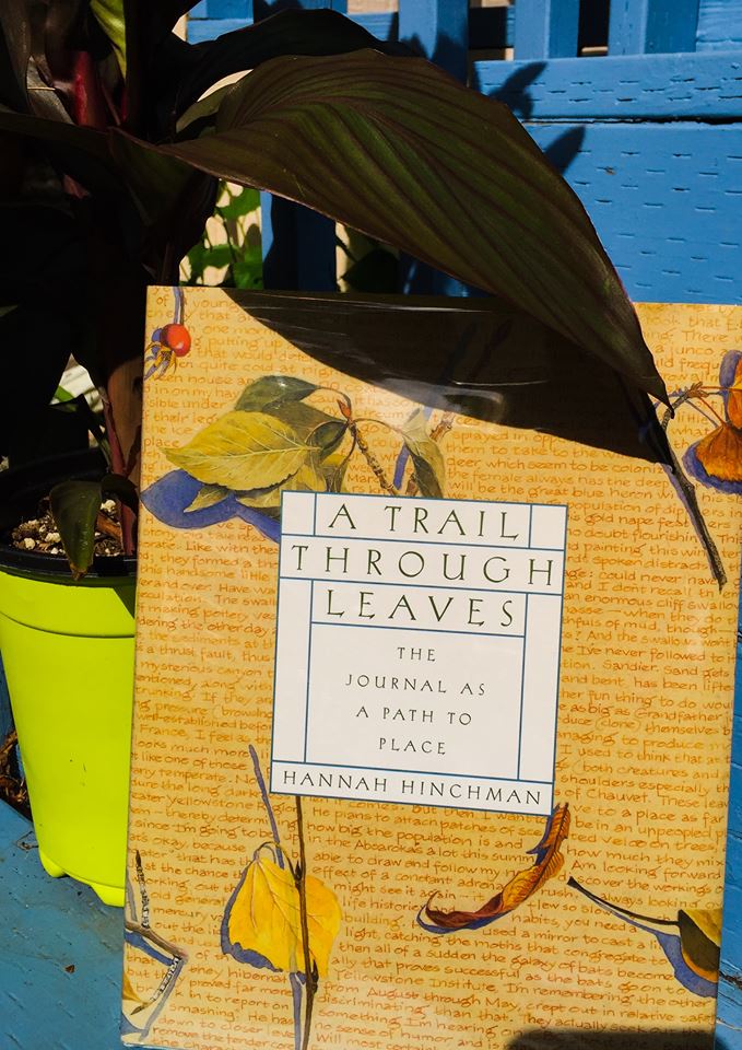 ATrailThroughLeaves