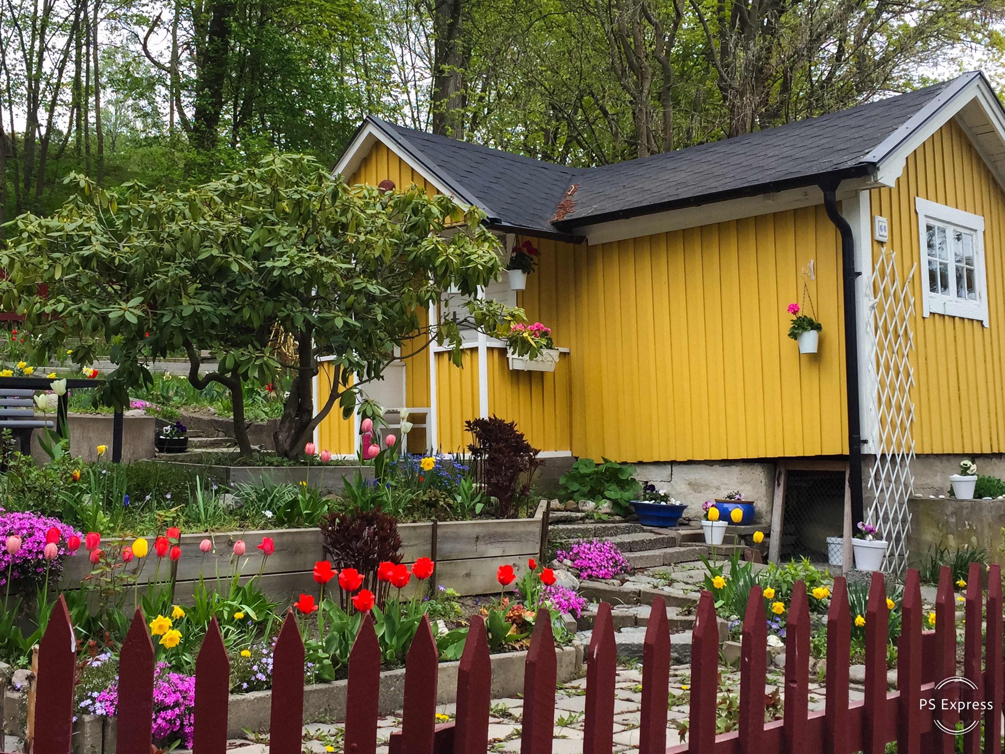 130A6BB9-55E3-4769-BA44-8CFF5E072DCF