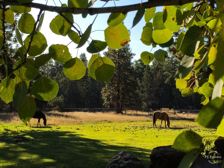 8EB30D7B-AA81-4842-902F-D61F608EC2FD