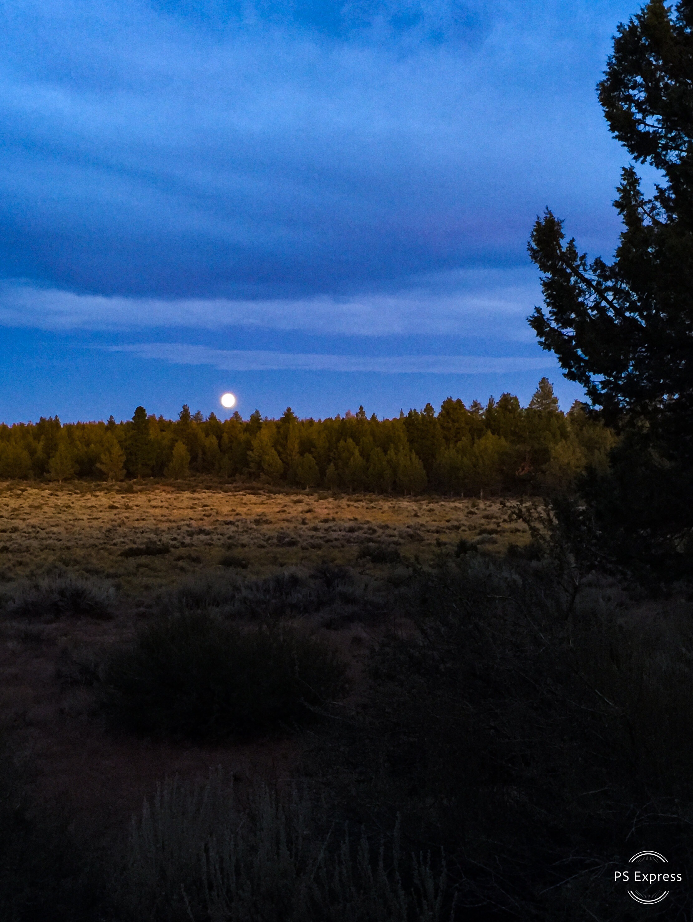 B57B999C-A00B-4FB1-91E3-6A49C9157B1A