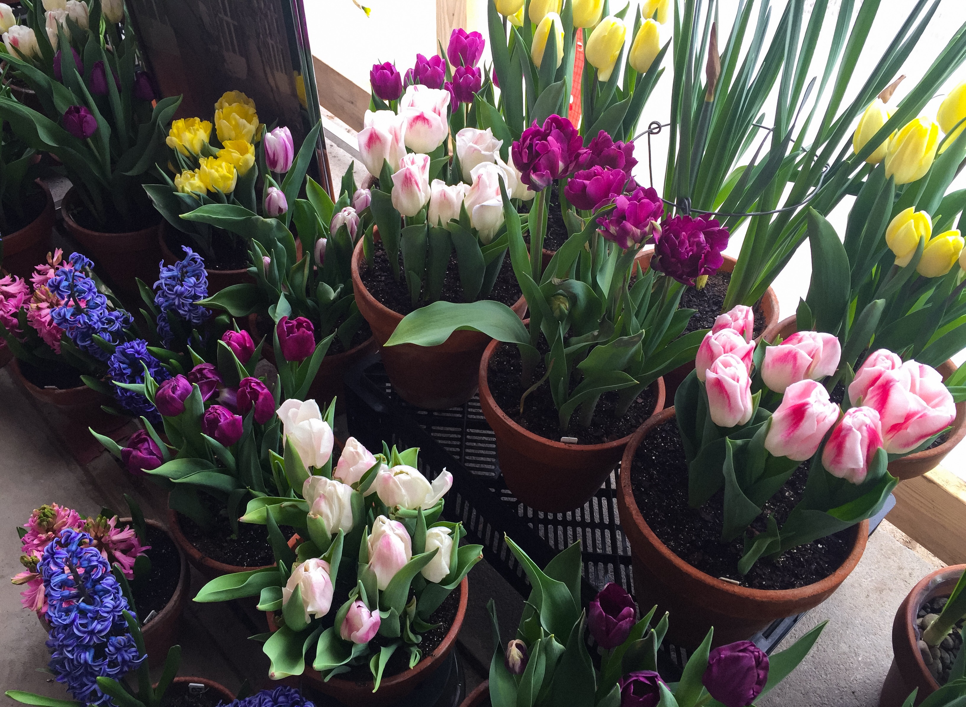 B6DA7256-6AD8-40ED-8670-9E2A721CE8FA